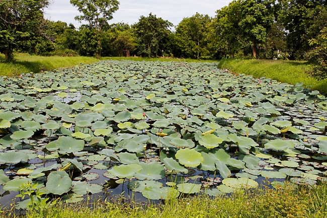 40-Prang Pha Kho-001